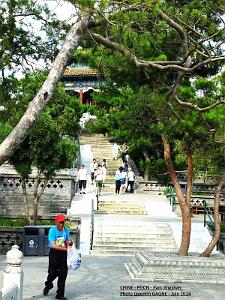 Pekin Jingshan 28